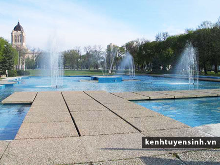 Những bước cần biết khi Du học Canada